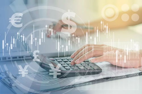 投资管理公司的价值评估 核心要素与策略解析