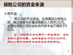 保险公司的资金运用与投资管理